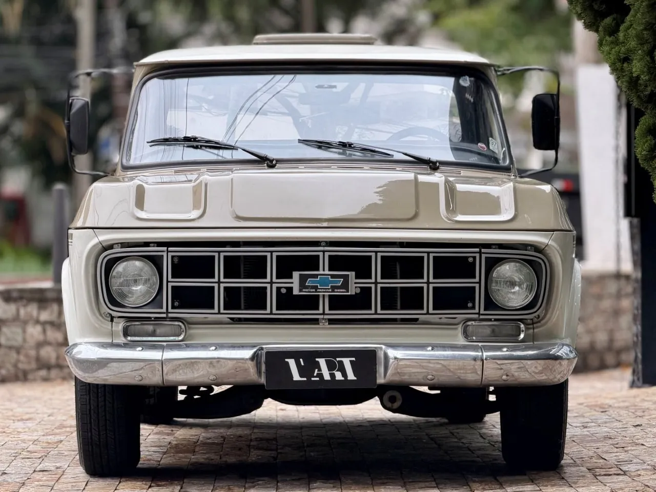 Chevrolet D10 Custom S 1984 com detalhes externos da carroceria