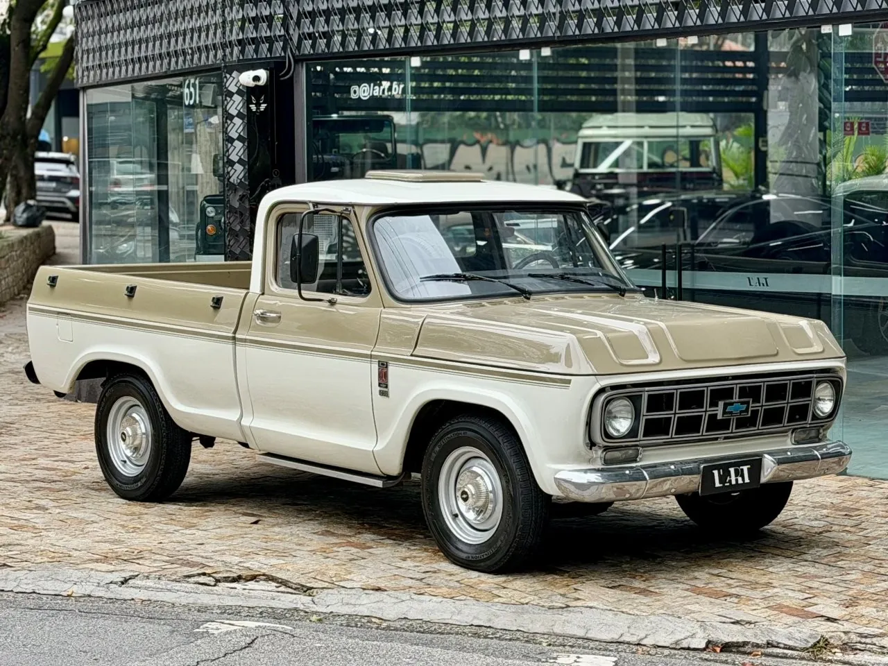 Esta Chevrolet D10 1984 parece pronta mas um detalhe muda toda a avaliação