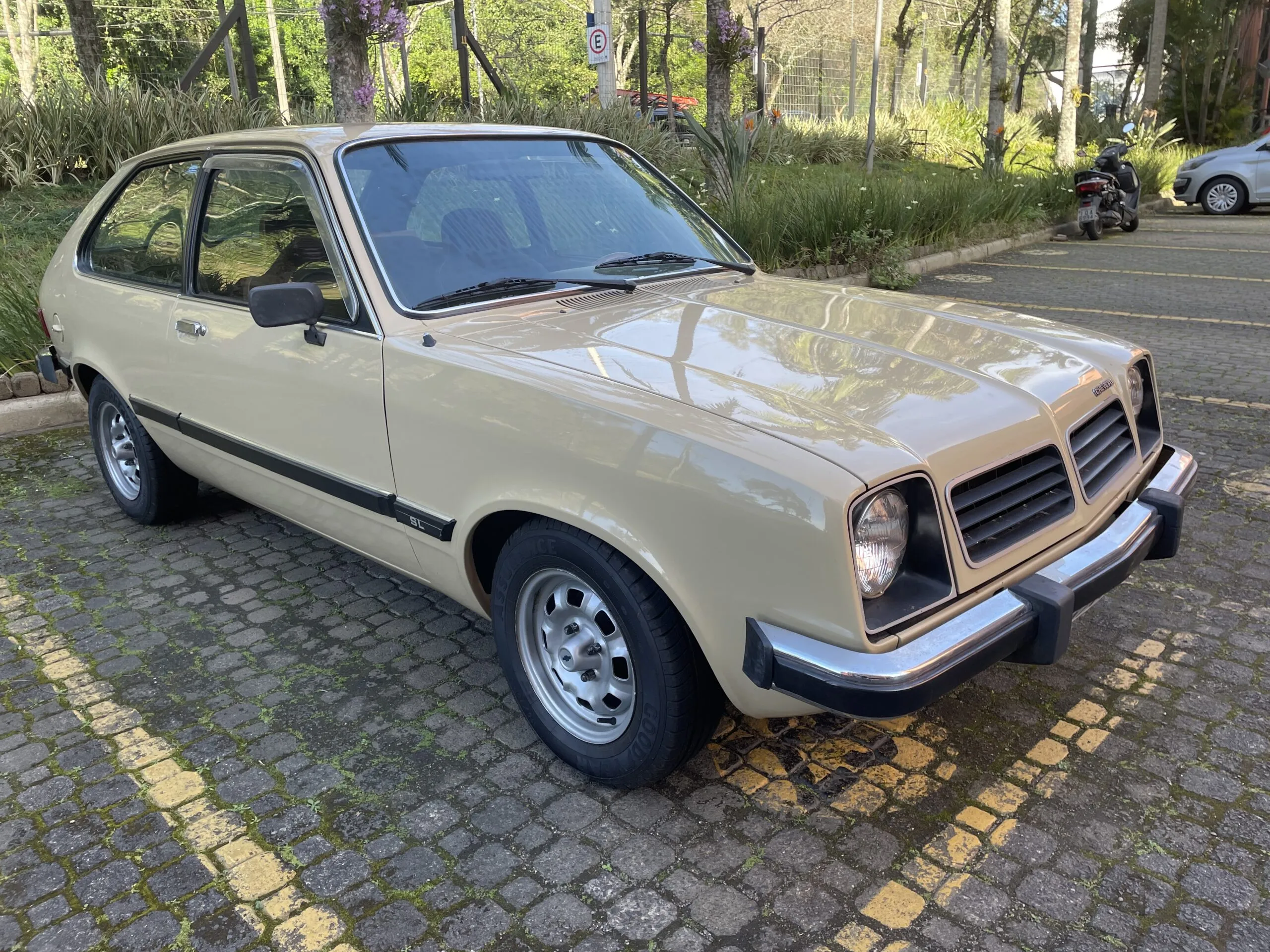 Foto do Chevrolet Chevette Hatch SL 1.4 1980 para registro histórico