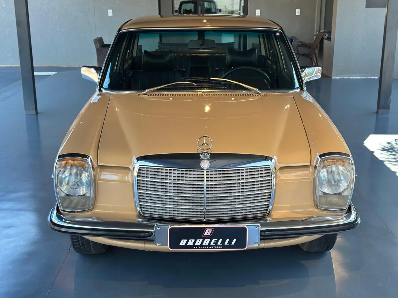 Frente do Mercedes-Benz 240 D 3.0 1975 para análise de simetria da carroceria